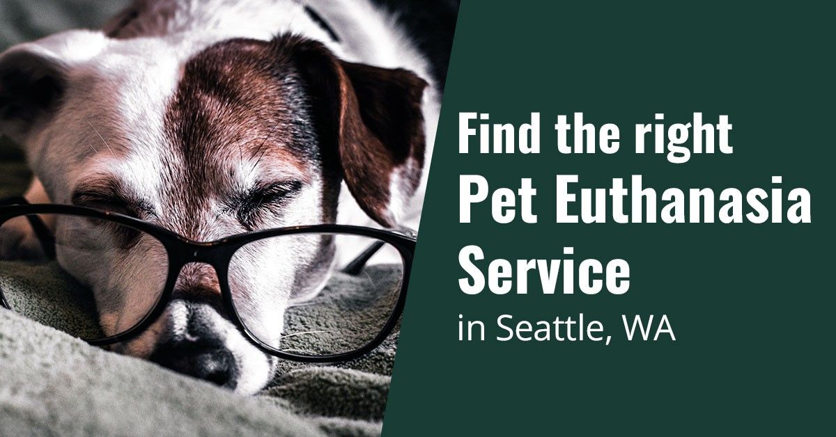 Find the Right Pet Euthanasia Service in Seattle, WA