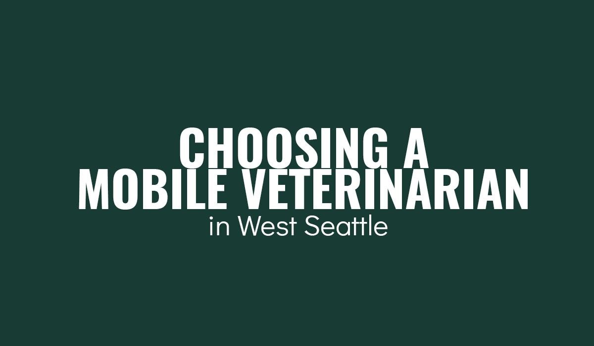 Choosing a Mobile Veterinarian in West Seattle