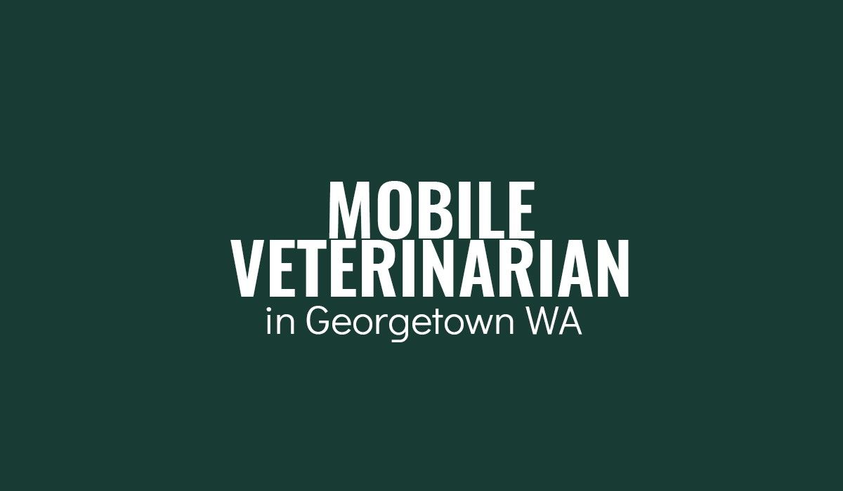 Mobile Veterinarian in Georgetown, Wa