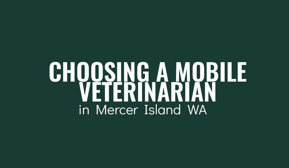 Choosing-a-Mobile-Veterinarian-in-Mercer-Island