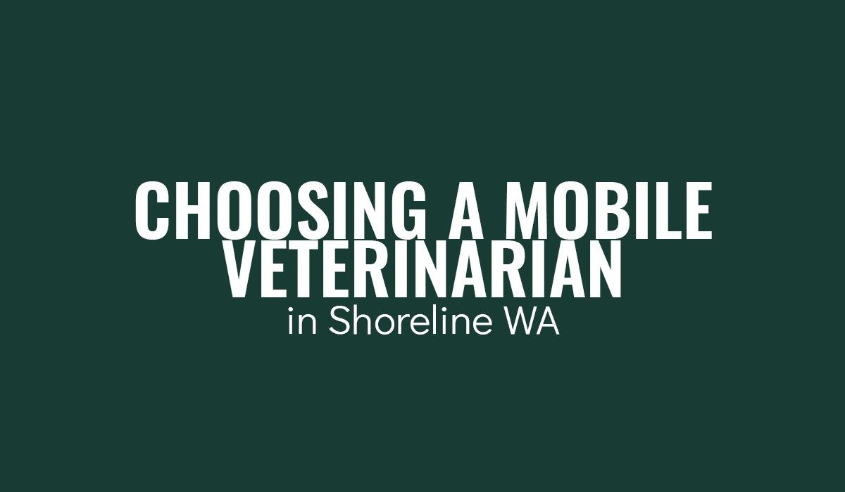 Choosing A Mobile Veterinarian In Shoreline, WA