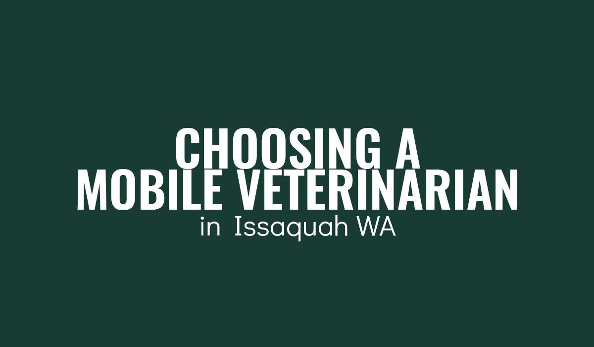 Choosing-a-Mobile-Veterinarian-Issaquah-WA